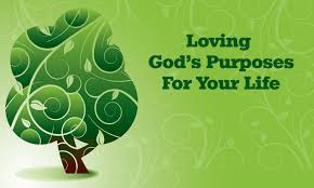 gods_purpose_for_your_life